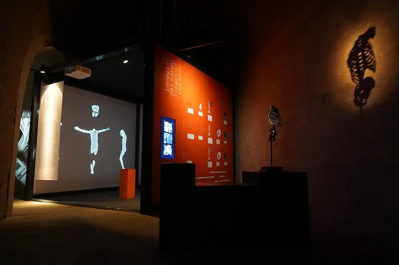 Allestimento museale al buio con proiezione e vetrine illuminate