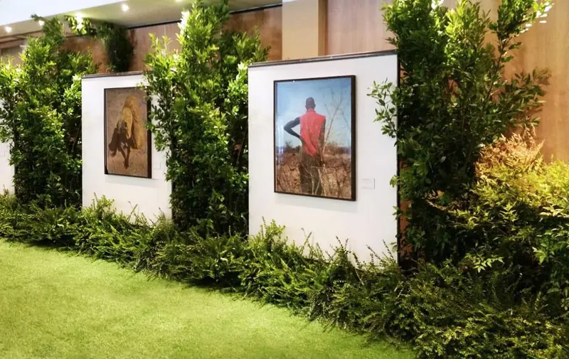 Fotografie a colori tra piante e prato, in un allestimento verde